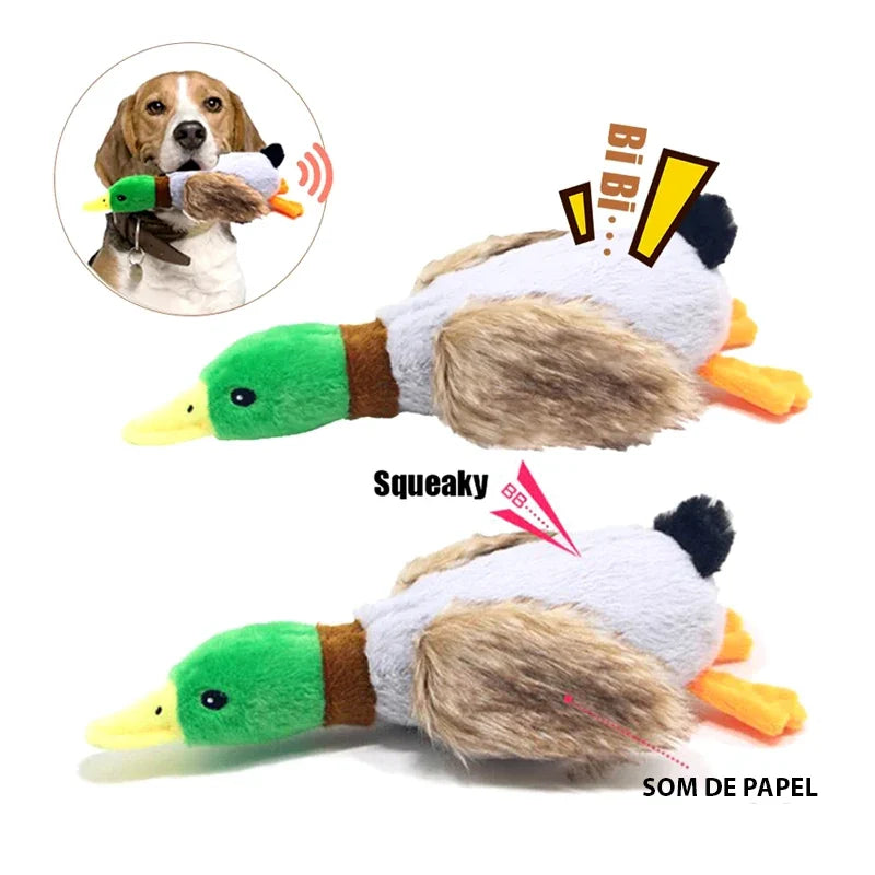 Brinquedo Patão Geraldo™ | Para Cachorro