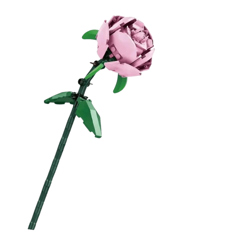 Rosas | 101PCS