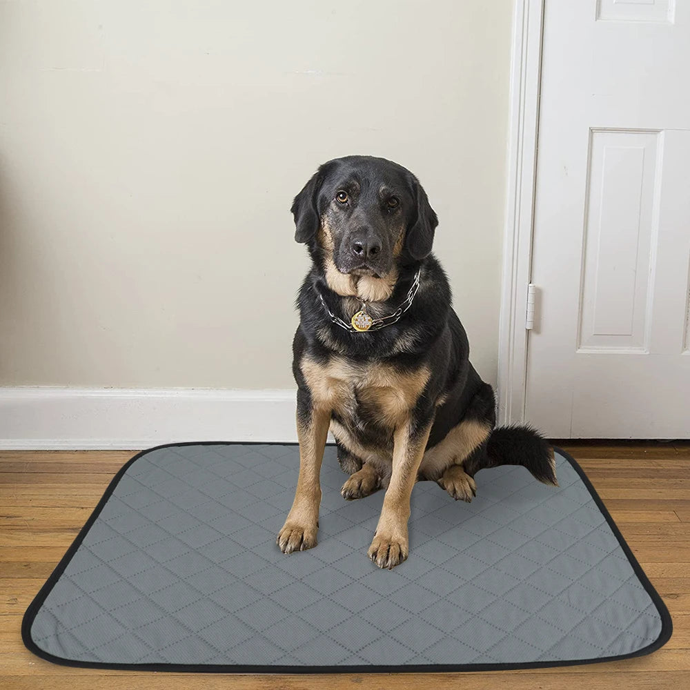 Tapete Higienico para Cachorro Reutilizável | Tapete Woof™