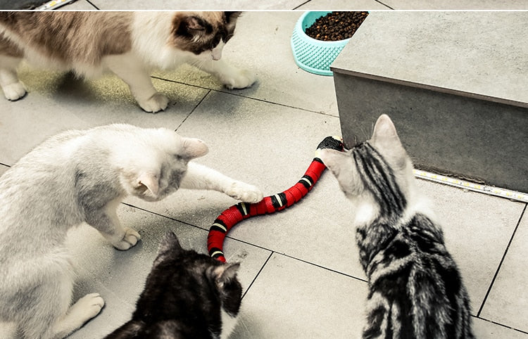 Brinquedo Smart Snake™ | Para Gato