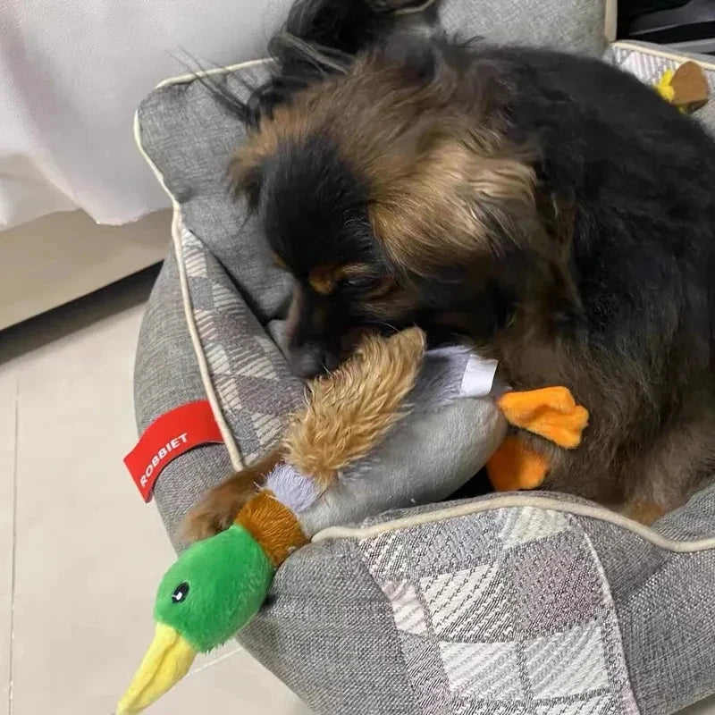 Brinquedo Patão Geraldo™ | Para Cachorro