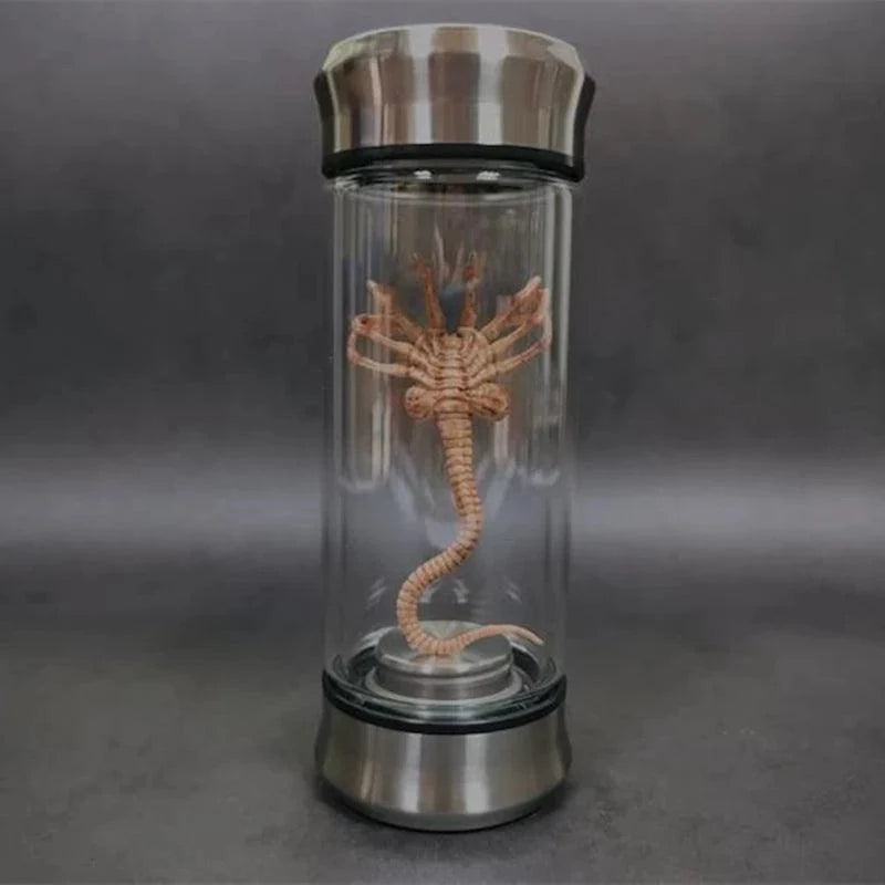 Réplica Alien Xenomorfo em Célula de Vidro