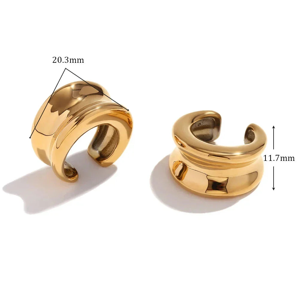 Brincos de Ouro 18K com Design Elegante