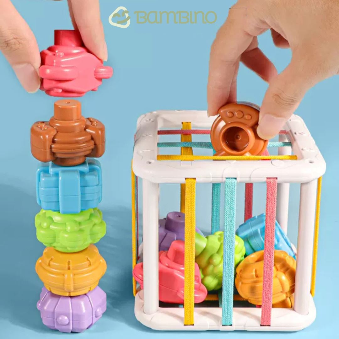 Brinquedo Educativo Montessori para Bebê