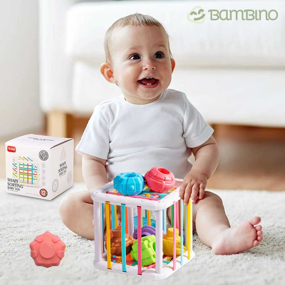 Brinquedo Educativo Montessori para Bebê