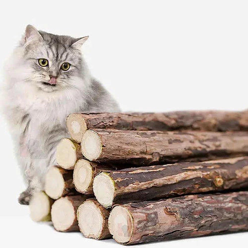 Varetas Matatabi de Catnip Anti-Stresse e Saúde Bucal | Matatabi™