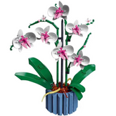 Orquídeas | 711PCS