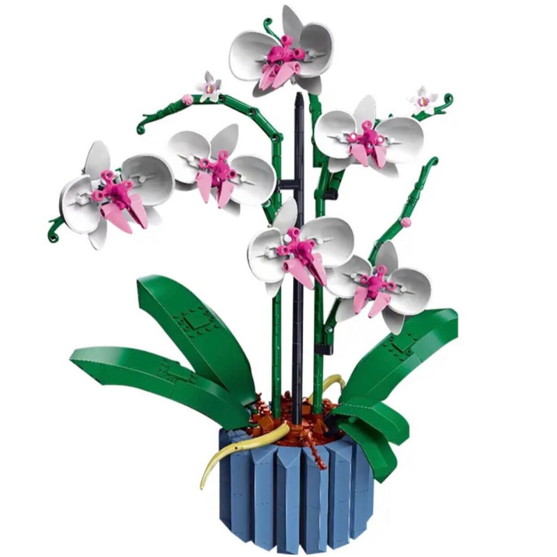 Orquídeas | 711PCS