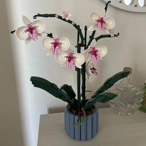 Orquídeas | 711PCS