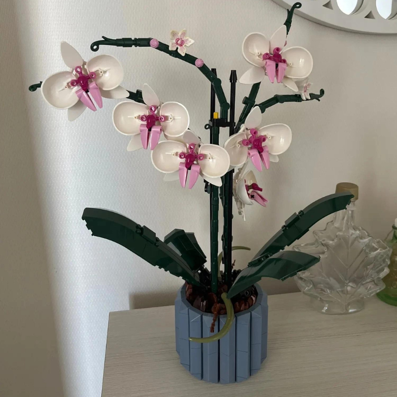 Orquídeas | 711PCS