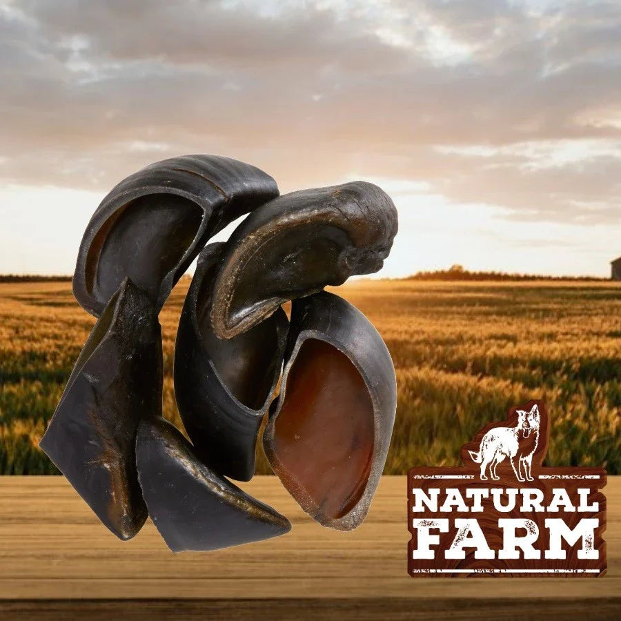 Mordedor Natural para Cães Casco Bovino | Casco Natural Farm