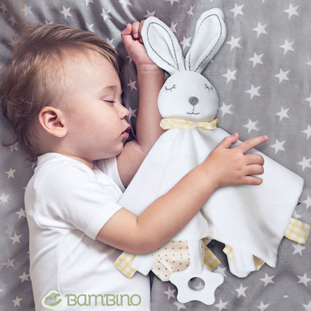 Naninha Para Dormir Bebê Bambino