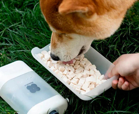 Garrafa Multiuso Mewoofun™ | Para Cachorro e Gato