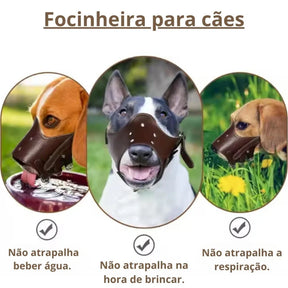 Focinheira para Cachorro Ajustável e Reforçada | Focinheira Corino™