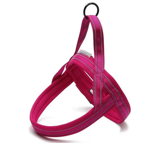 Peitoral Truelove® Soft Padded | Para Cachorro