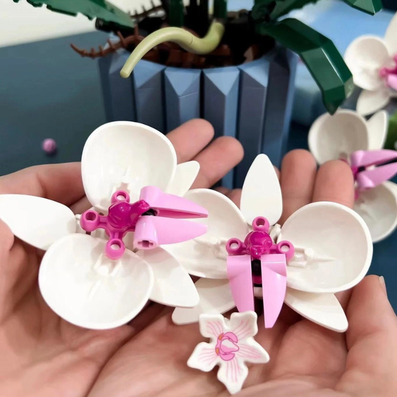 Orquídeas | 711PCS