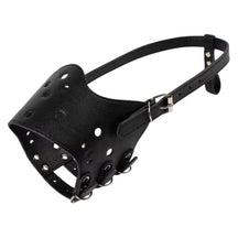 Focinheira para Cachorro Ajustável e Reforçada | Focinheira Corino™