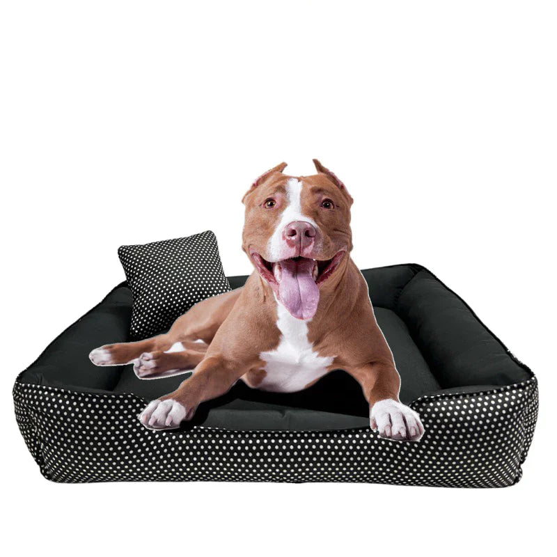 Caminha para Cachorro Melhor Custo Benefício | Cama Galaxy™