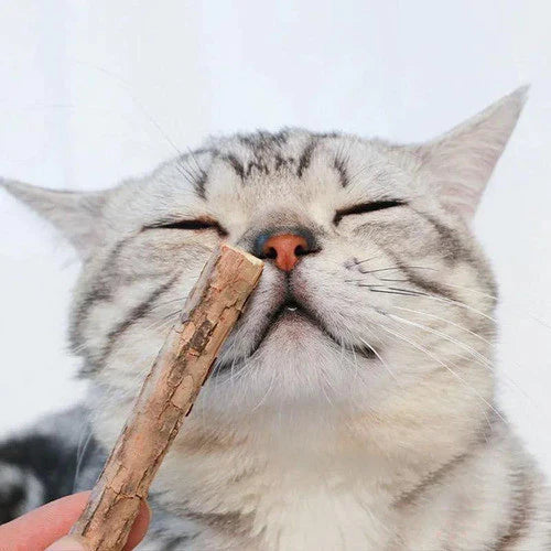 Varetas Matatabi de Catnip Anti-Stresse e Saúde Bucal | Matatabi™
