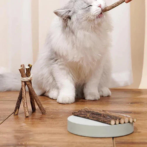 Varetas Matatabi de Catnip Anti-Stresse e Saúde Bucal | Matatabi™