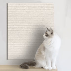 Carpete Adesivo de Sofás Anti Arranhões Para Gatos