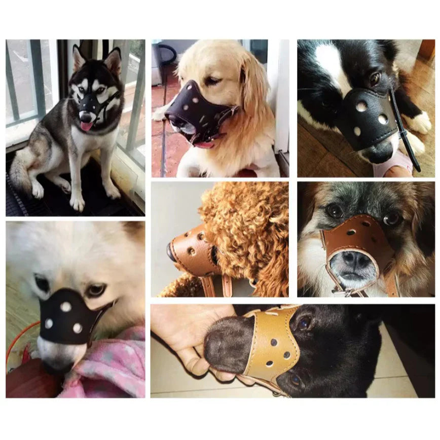 Focinheira para Cachorro Ajustável e Reforçada | Focinheira Corino™