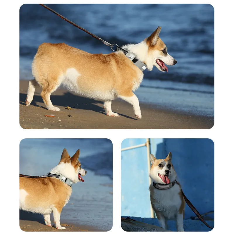 Coleira Truelove® DuPont | Para Cachorro