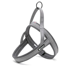 Peitoral Truelove® Soft Padded | Para Cachorro