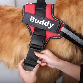 Peitoral para Cachorro Personalizável | CustomDog™