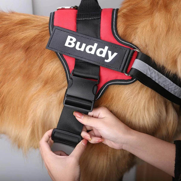 Peitoral para Cachorro Personalizável | CustomDog™