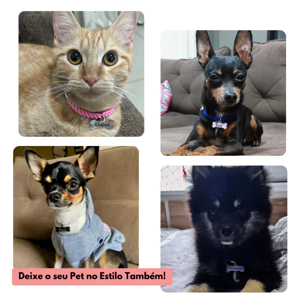 Coleira para Cachorro e Gato Personalizável | Coleira Loretto™
