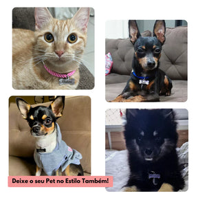 Coleira para Cachorro e Gato Personalizável | Coleira Loretto™