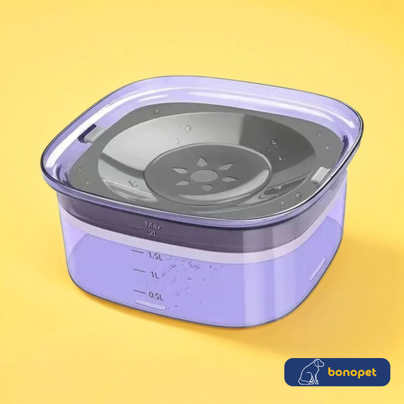 Bebedouro para Cachorro Anti Respingos | Bebedouro NoSplash™