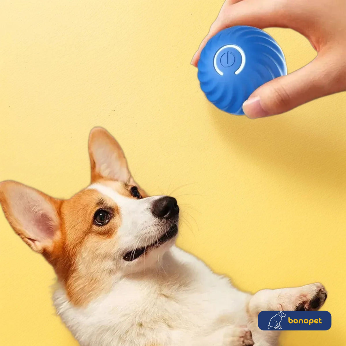 Bolinha Bouncing™ | Para Cachorro e Gato
