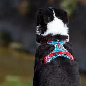Peitoral para Cachorro Anti Puxão Estampado | Truelove® Stamp