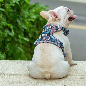 Peitoral para Cachorro Anti Puxão Estampado | Truelove® Stamp