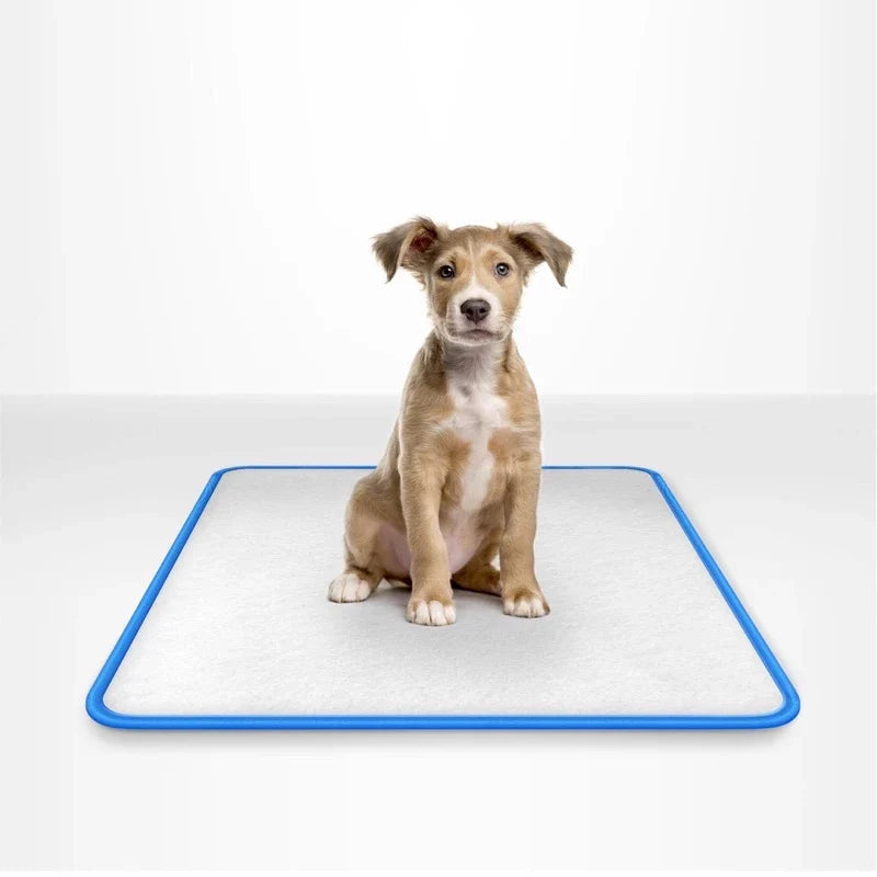 Tapete Higiênico Lavável para Cachorro | Ecodog™