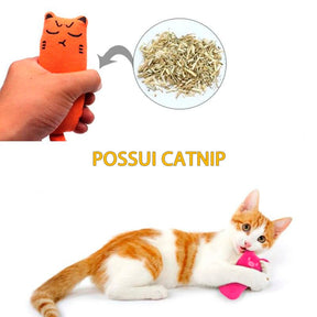 Pelúcia BrincGato com Catnip | Para Gato