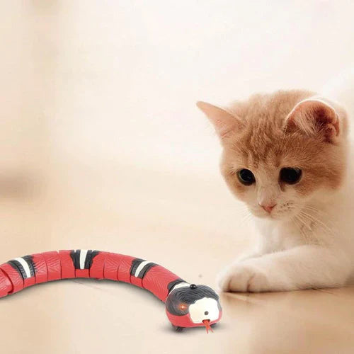 Brinquedo Smart Snake™ | Para Gato