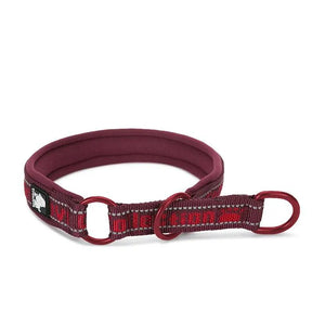 Coleira Truelove® Neo | Para Cachorro