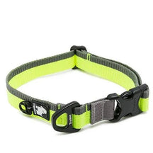 Coleira Truelove® Nylon | Para Cachorro