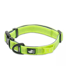 Coleira Truelove® Sport | Para Cachorro