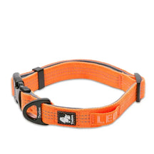 Coleira Truelove® Sport | Para Cachorro