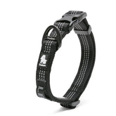 Coleira Truelove® Sport | Para Cachorro