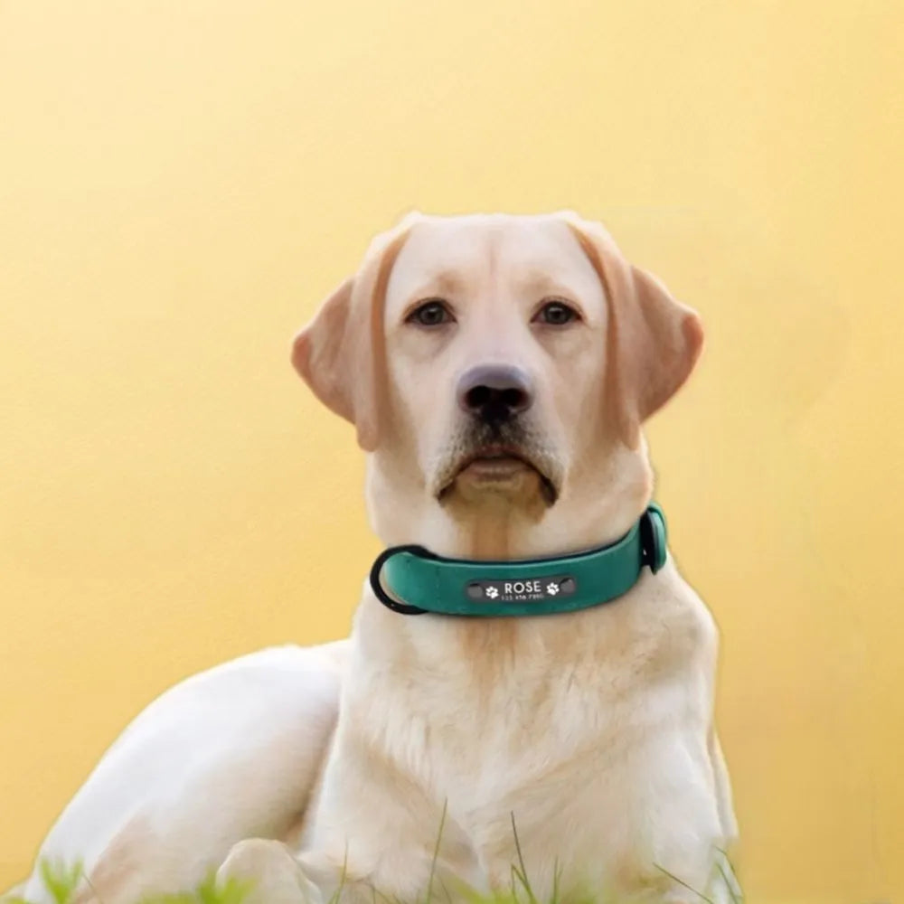 Coleira Personalizável CustomDog | Para Cachorro