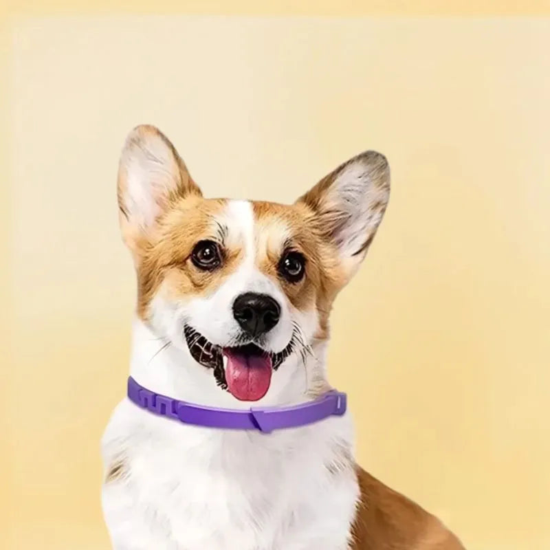 Coleira Anti Ansiedade Natural para Cachorro e Gato | Pheromona™