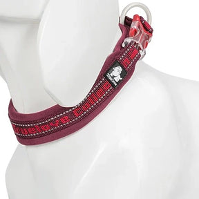 Coleira Truelove® NeoNylon | Para Cachorro