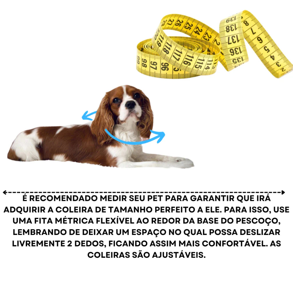 Coleira para Cachorro e Gato Personalizável | Coleira Loretto™