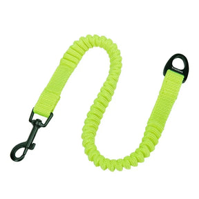 Extensor de Guia Truelove® Bungee | Para Cachorro