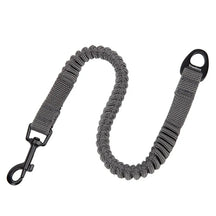 Extensor de Guia Truelove® Bungee | Para Cachorro